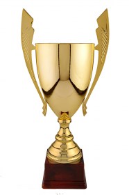 Cupe Sportive LX 021